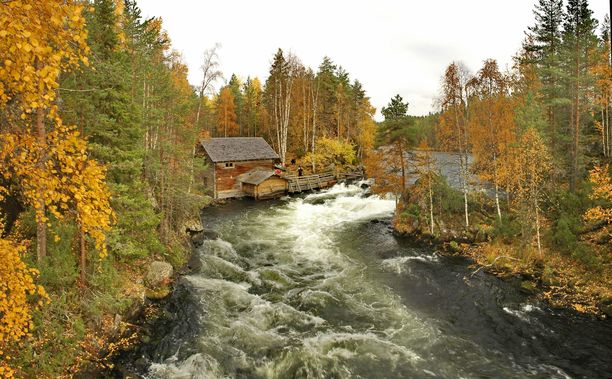 Oulangan kansallispuisto kuuluu rumien paikannimien ohella Kuusamon valtteihin. Kuvassa Myllykoski.