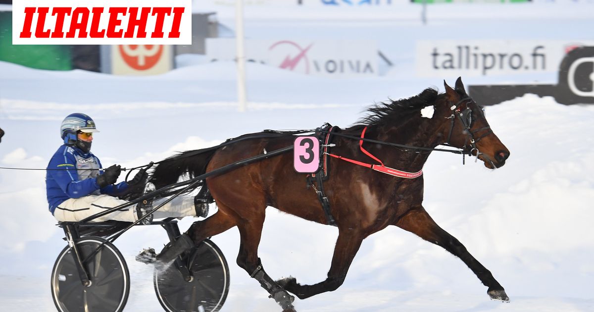 Viime kauden komeetan tähtäimessä Euroopan ykköskilpailu – ”Sitten hätä ...