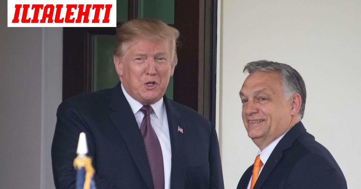 www.iltalehti.fi