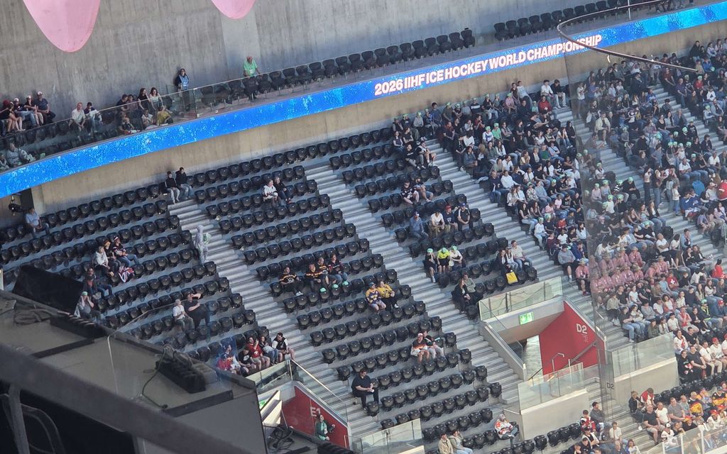 Ankea näky Leijonien pelissä