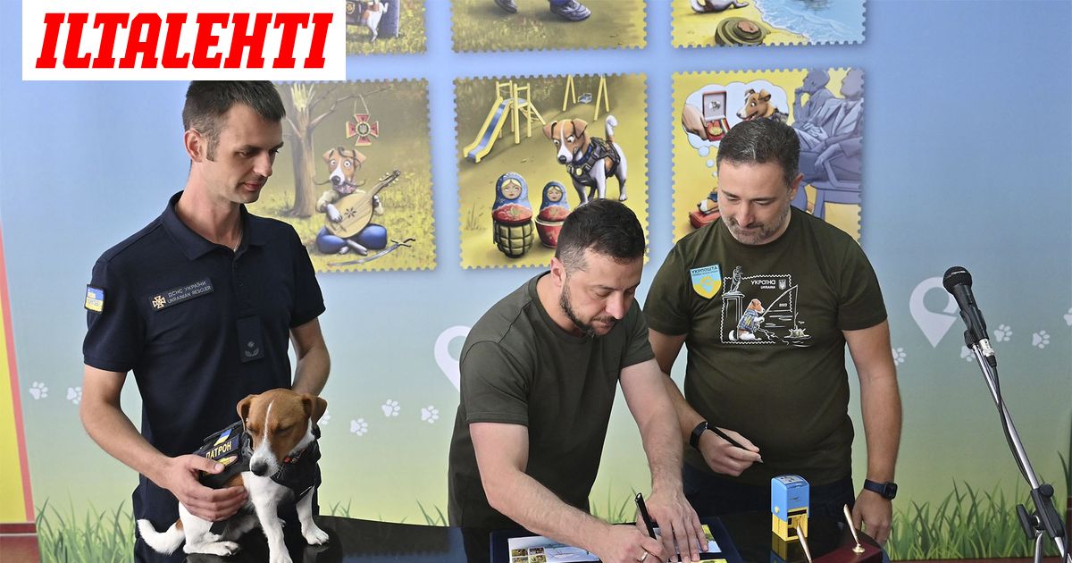 Ukrainan informaatiovaikuttaminen vahvistuu - Vimarsana News