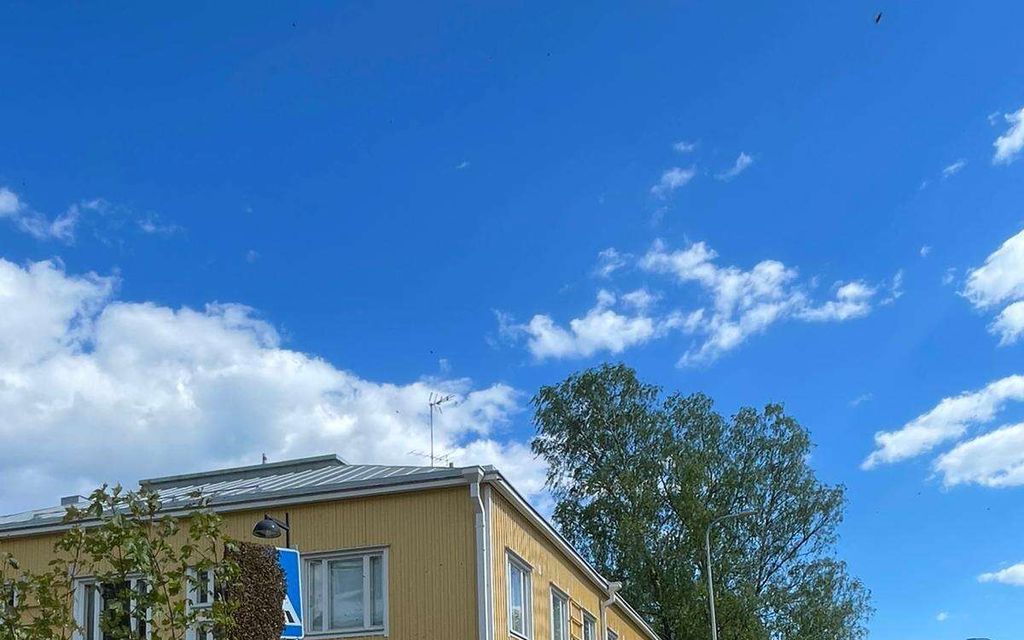Väkijoukko todisti hurjaa näkyä Helsingissä – Valtava mehiläisparvi ilmestyi perinteik­kääseen tapahtumaan