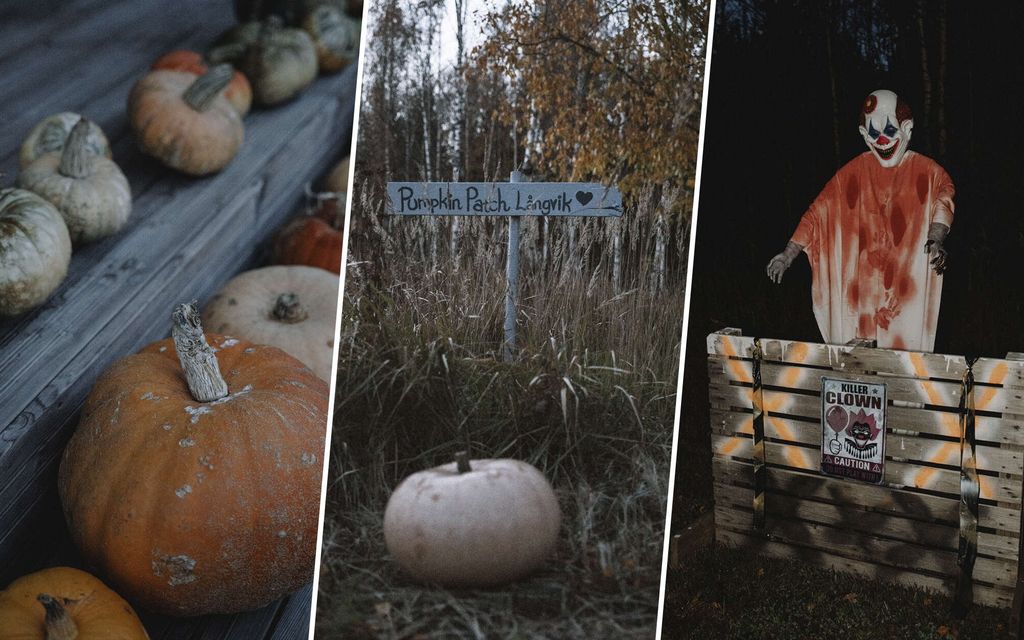 Halloween-huuma valtaa Suomen – Video Jasminen kodista vetää hiljaiseksi