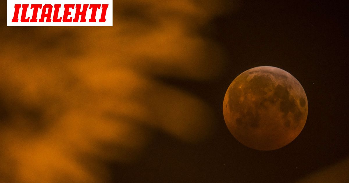 www.iltalehti.fi
