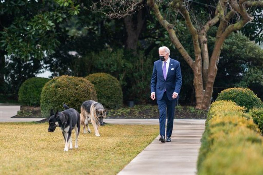 Presidentti Bidenin Champ-koira on kuollut