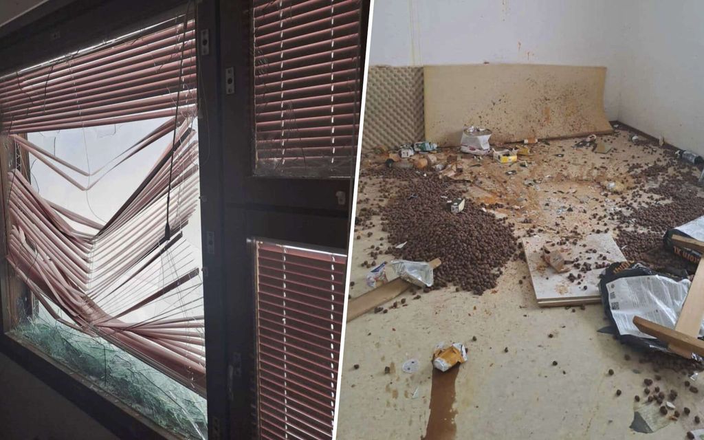 Karmeat kuvat: Kauhu­vuokralainen pani kaupungin vuokrakämpän uuteen uskoon