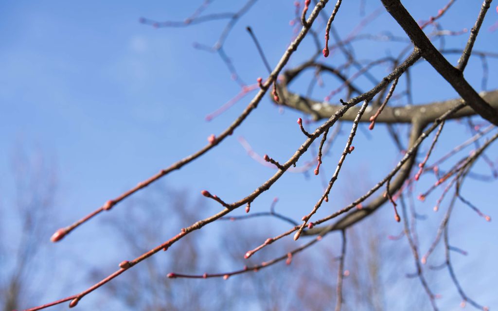 Sääkartta hehkuu yhä lämpimämpänä – Tällaisia lukemia on luvassa