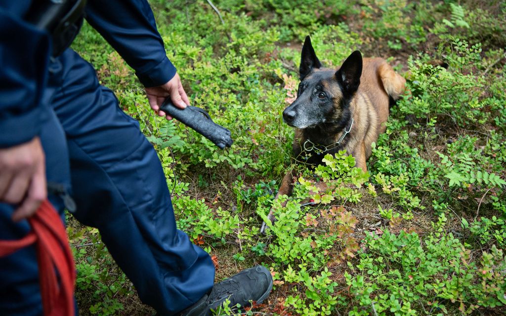 Kuopiossa kadonnut nainen on löytynyt