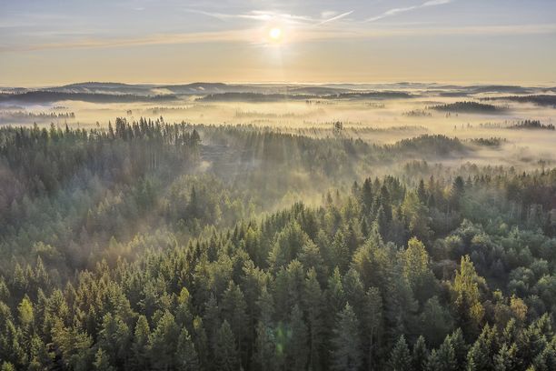 Muun muassa metsien määrä nosti Suomen luontomatkakohteiden listan kärkeen.
