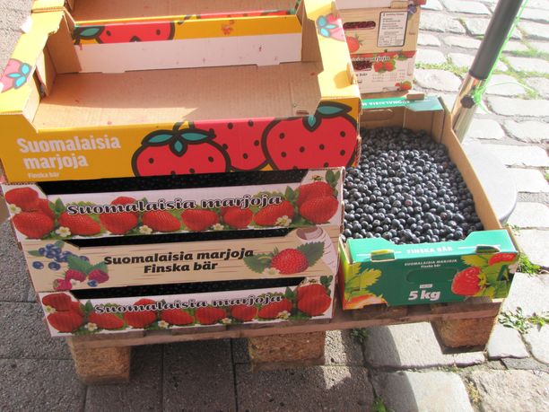  Torikauppiaat epäilevät, että osa myyjistä täyttää suomalaisten marjojen laatikot ulkomaisilla mustikoilla Tammelantorilla.