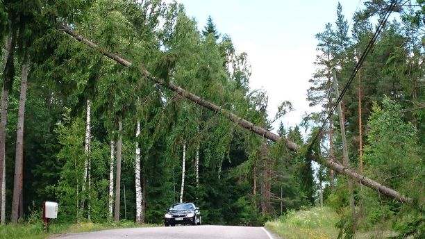 Myrskytuuli kaatoi puita Nurmijärvellä kesällä 2017.
