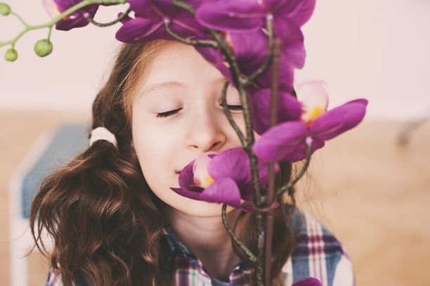 Temperamentti - onko lapsesi voikukka, tulppaani vai orkidea?