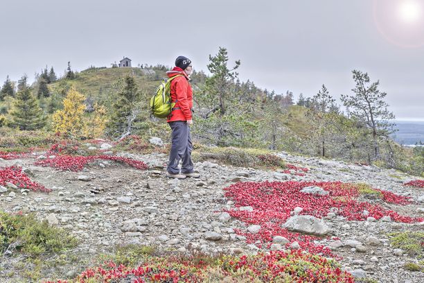 Valtavaaralle pääsee vajaan kuuden kilometrin mittaista rengasreittiä pitkin.