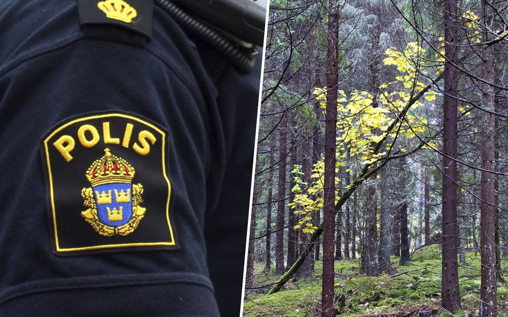 Teini-ikäinen poika kuoli puun kaatamisen yhteydessä Ruotsissa – Poliisi tutkii