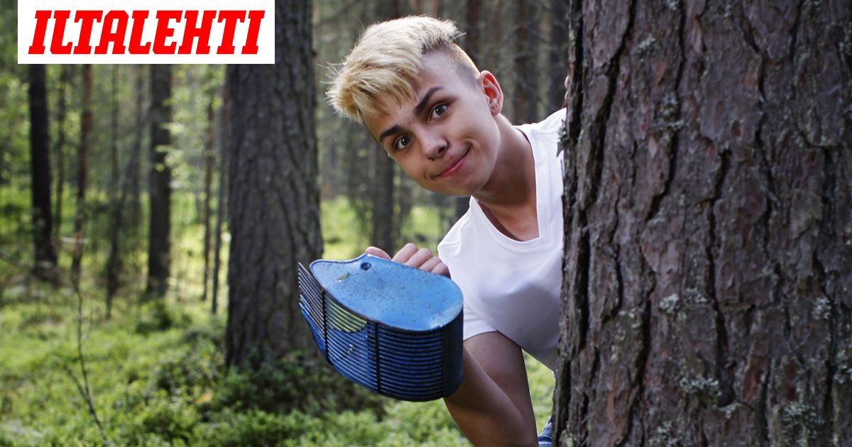 Mustikkaa Myydaan Polkuhintaan Presidentinkin Hehkuttama Oscar