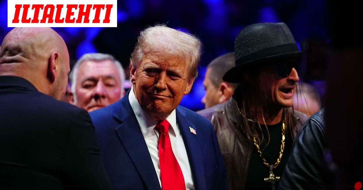 www.iltalehti.fi
