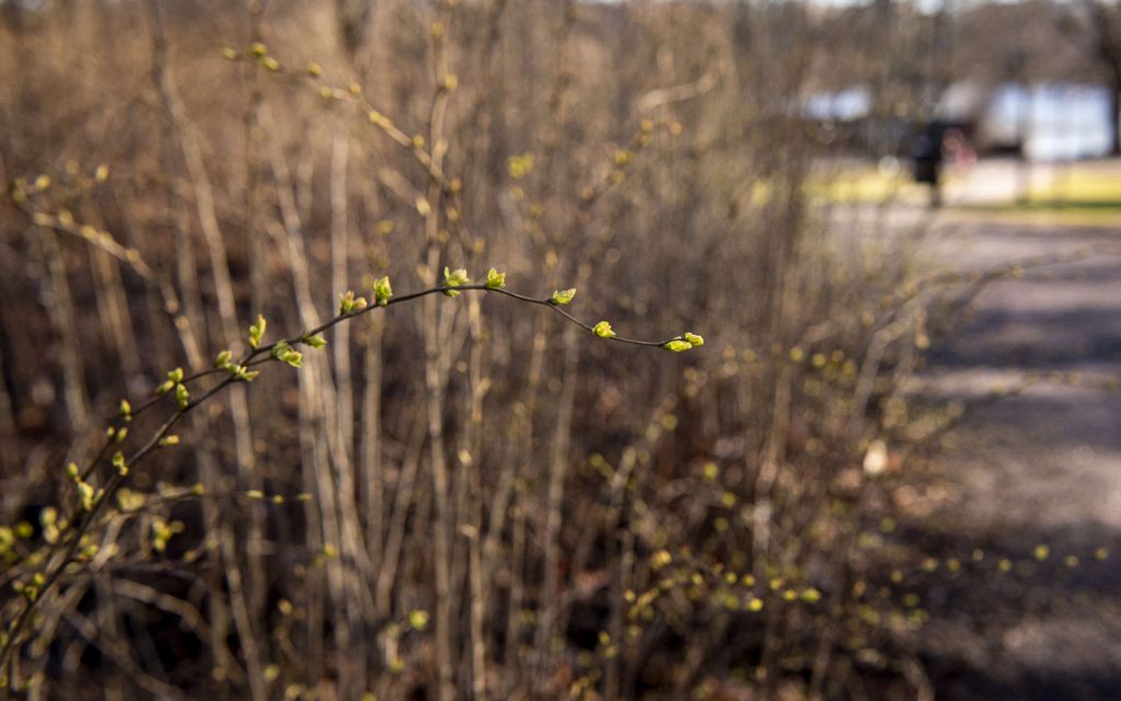 Pysäyttävä tieto: Tällaista maaliskuuta ei ole Suomessa juuri koettu