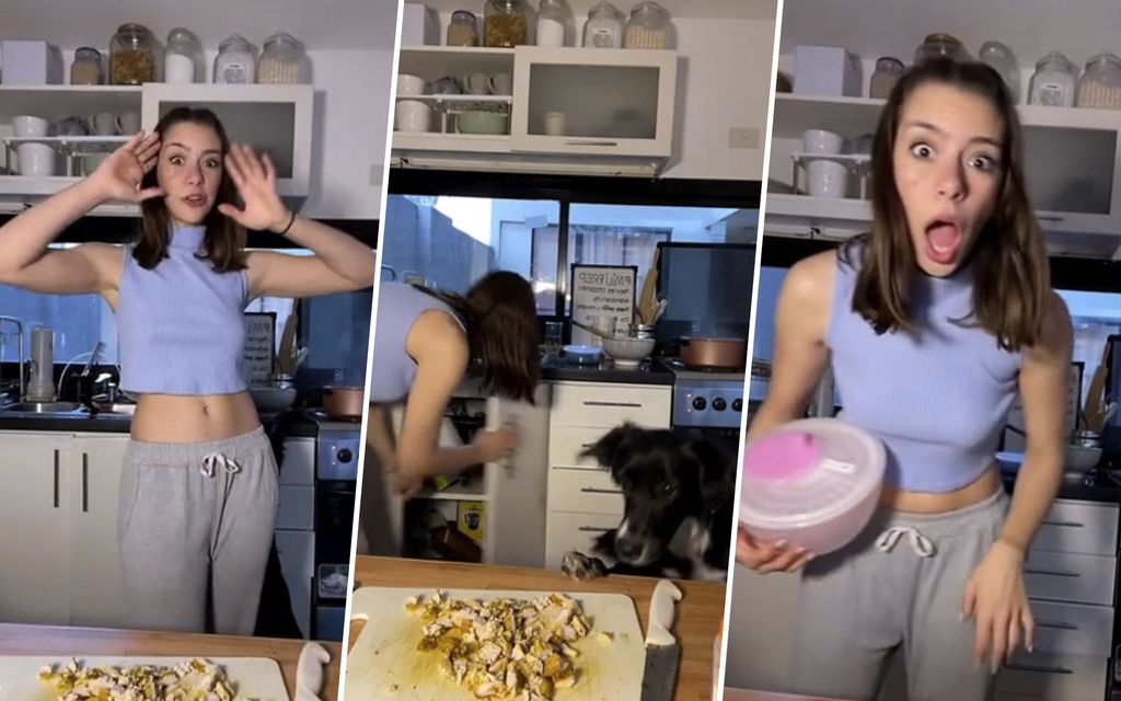 Koira haistoi tilaisuuden tulleen – naisen kokkaus­videolle yllättävä käänne
