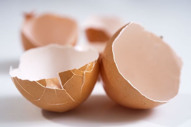 Teija Tolvanen löysi kananmunakennosta pilaantuneen munan. Kuvan kananmunat eivät liity tapaukseen.