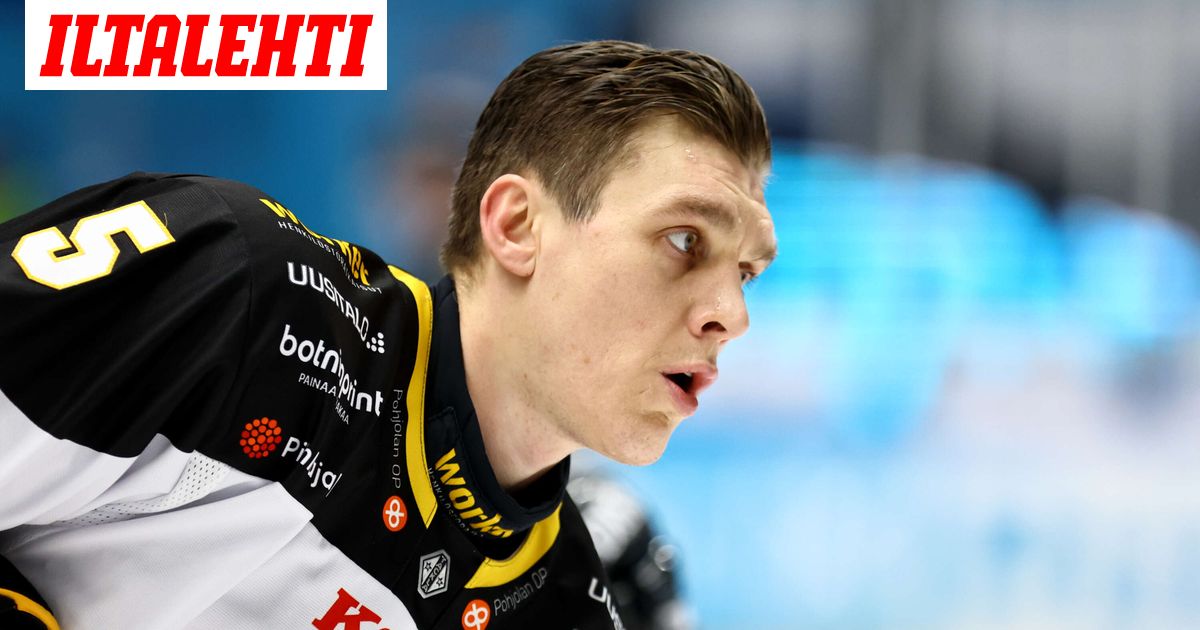 Kultaleijonan tulevaisuuden päällä kysymysmerkkejä – ”Hitto ...