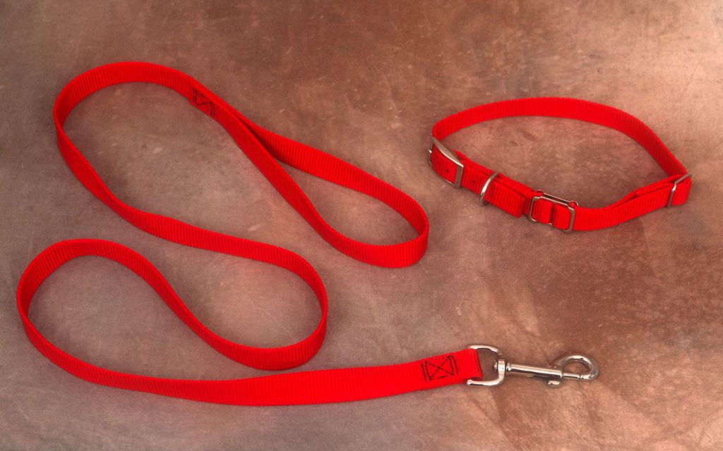 Kaleva: Koira hyökkäsi toisen kimppuun – Säikky pikkukoira juoksi auton alle