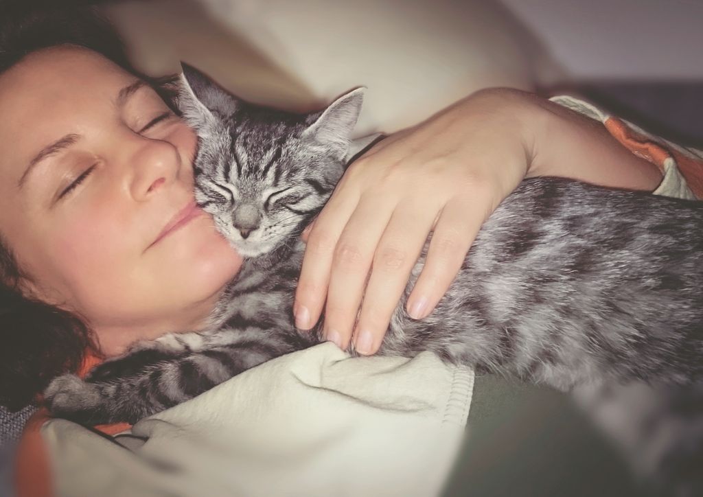 Nosta kissa sängylle - 3 hyvää syytä nukkua kissan kanssa