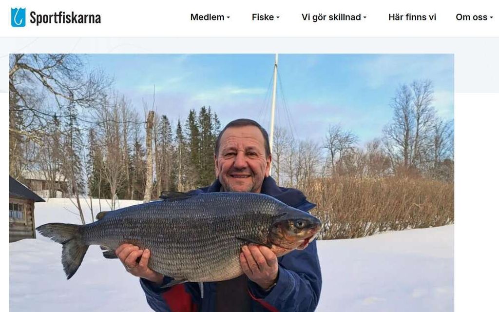 Kalastajan hymy kertoo kaiken –  Ruotsalais­järvestä nousi hurja vonkale