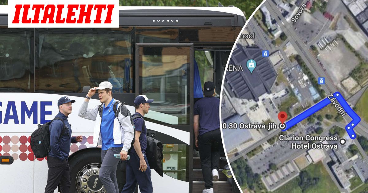Maailman lyhin bussimatka? Leijonat matkustaa 200 metriä linja-autolla