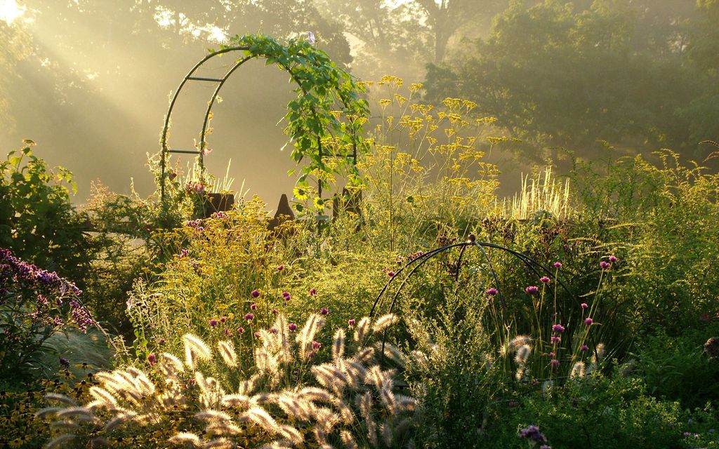 Tämä puutarhatrendi ei sovi kontrolli­friikeille – Kokeiletko?