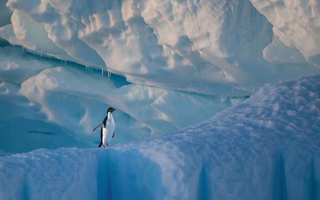 Etelämantereen merijää hupenee vauhdilla – ”Kaikkien tulisi olla huolissaan”