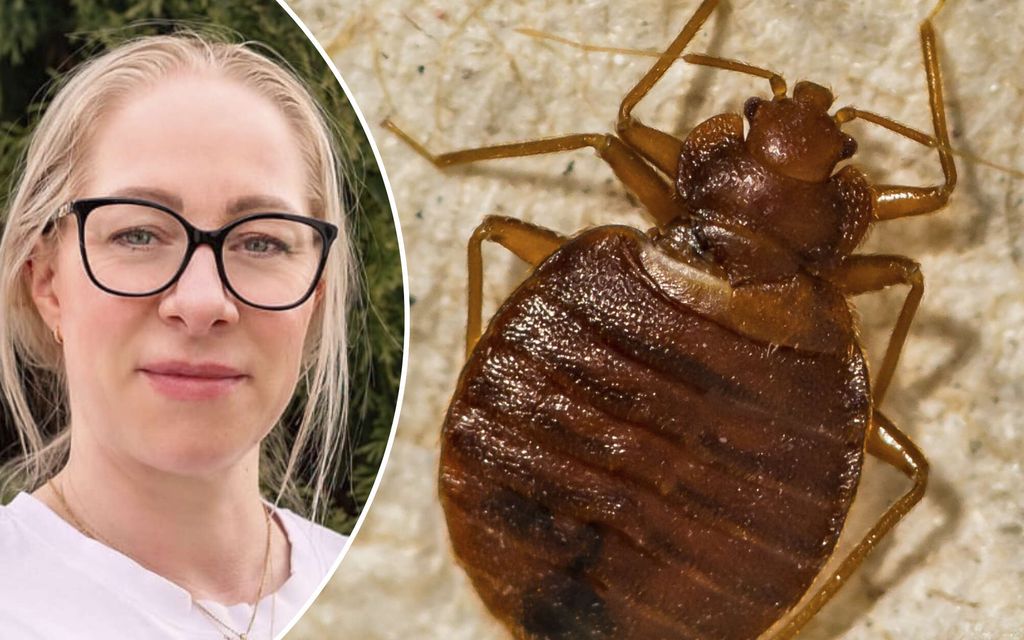 Tämä video ei ole herkimmille: Tältä näyttää ludekoti