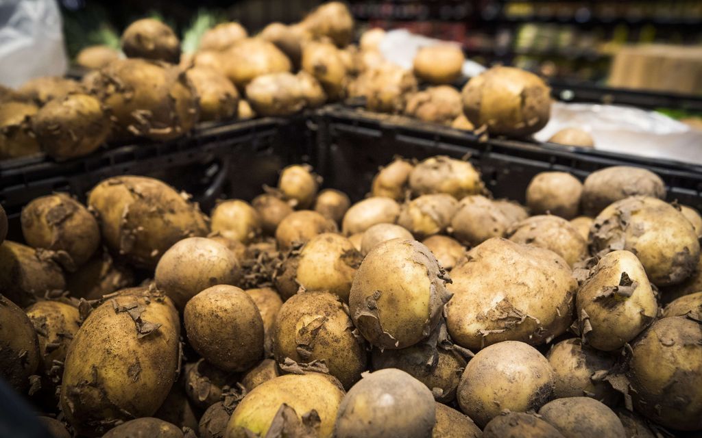 Suomalaisten suosikkiherkku ilmestyi jo kauppoihin, mutta hinta on hirvittävä – Tässä syy