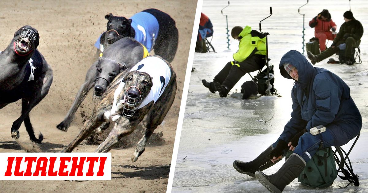 Iso mutta äiti porno