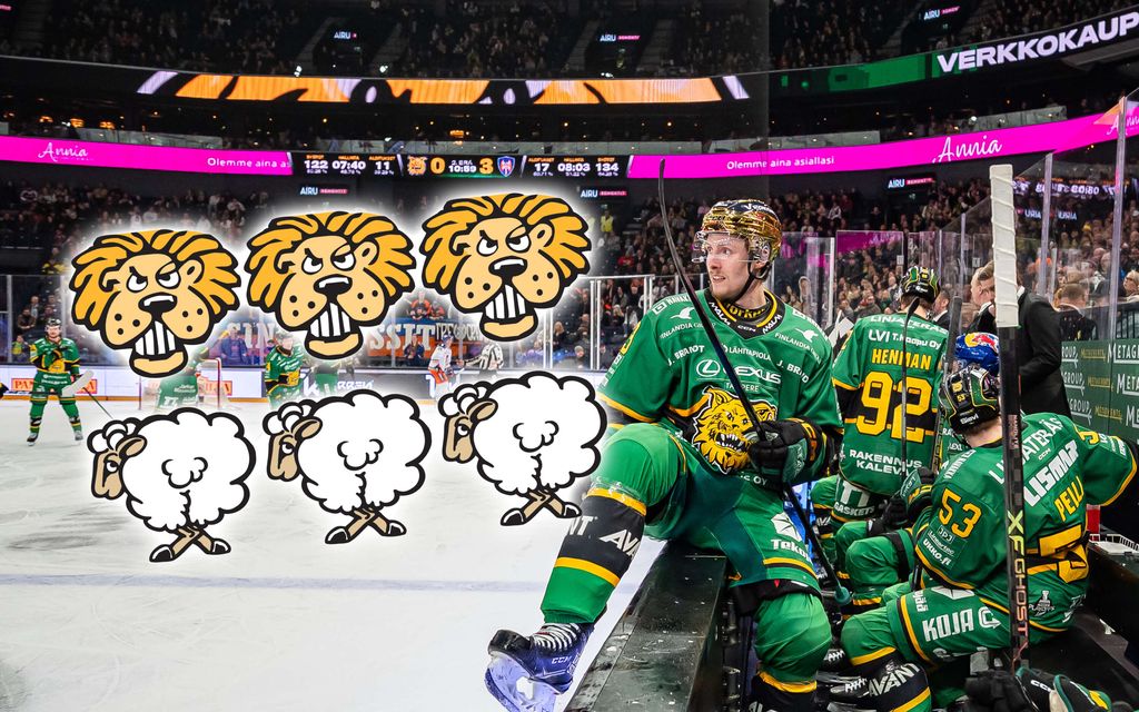 Tässä ovat SM-liigan Leijonat & lampaat – Ilveksen kohdalla lampaat loppuvat kesken