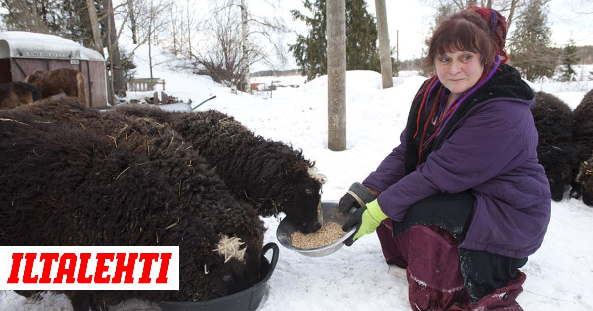 porno musta ihmiset vain