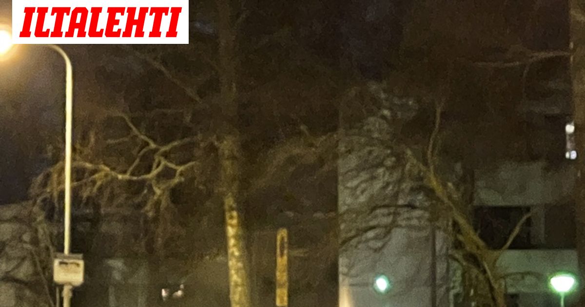 www.iltalehti.fi