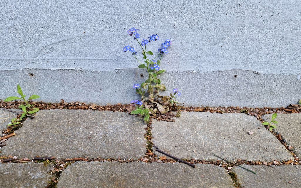 Omistus­asujille varoitus – ”Nyt kannattaa toimia”