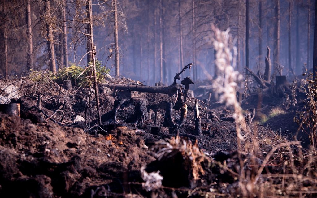 Metsähallitus huolissaan varomattomasta tulenkäytöstä maastossa – ”Nyt ei kannata tehdä tulia ollenkaan”