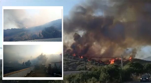 Kuvakaappaukset Mijasin palokunnan Facebook-sivuilta näyttävät, millainen palo Fuengirolan naapurissa riehui eilen.
