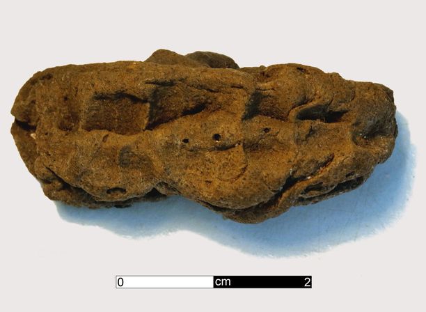 Lounais-Ruotsin purupihkasta tehdyt dna-löydöt avaavat huikeita tutkimusmahdollisuuksia myös Suomen osalta. Kuvan kivikautisesta ”purkasta” näkyy selvästi hampaanjäljet.