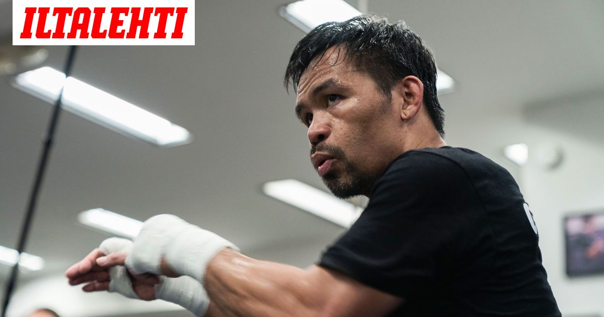Isä söi 12-vuotiaan Manny Pacquiaon lemmikkikoiran - Vimarsana News