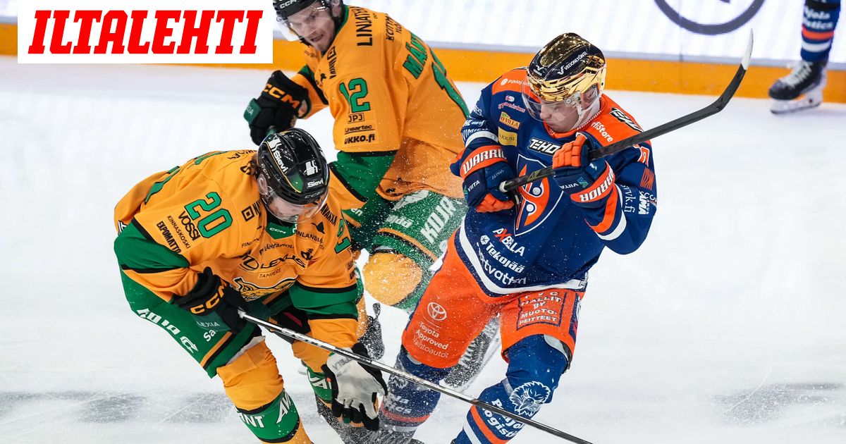 Mitä Ilvekselle tapahtui? Asiantuntija: ”Iso mysteeri”