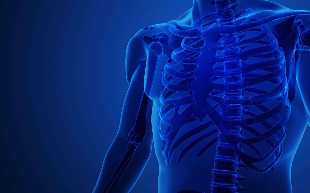 Testaa, tunnetko ihmisen anatomian – Vain ehta elimistö­ekspertti saa 10/10