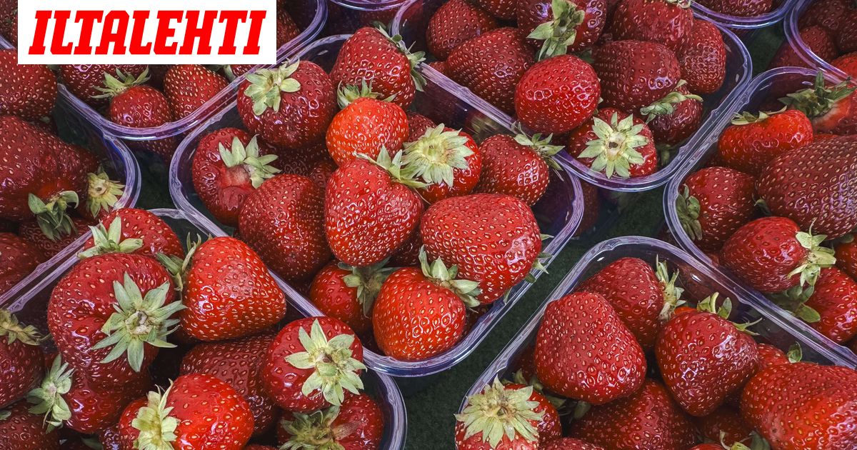 www.iltalehti.fi