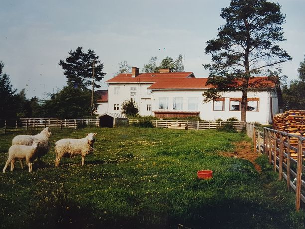 Parkanon Narkomaanikodissa oli monia eläimiä, kuten lampaita.