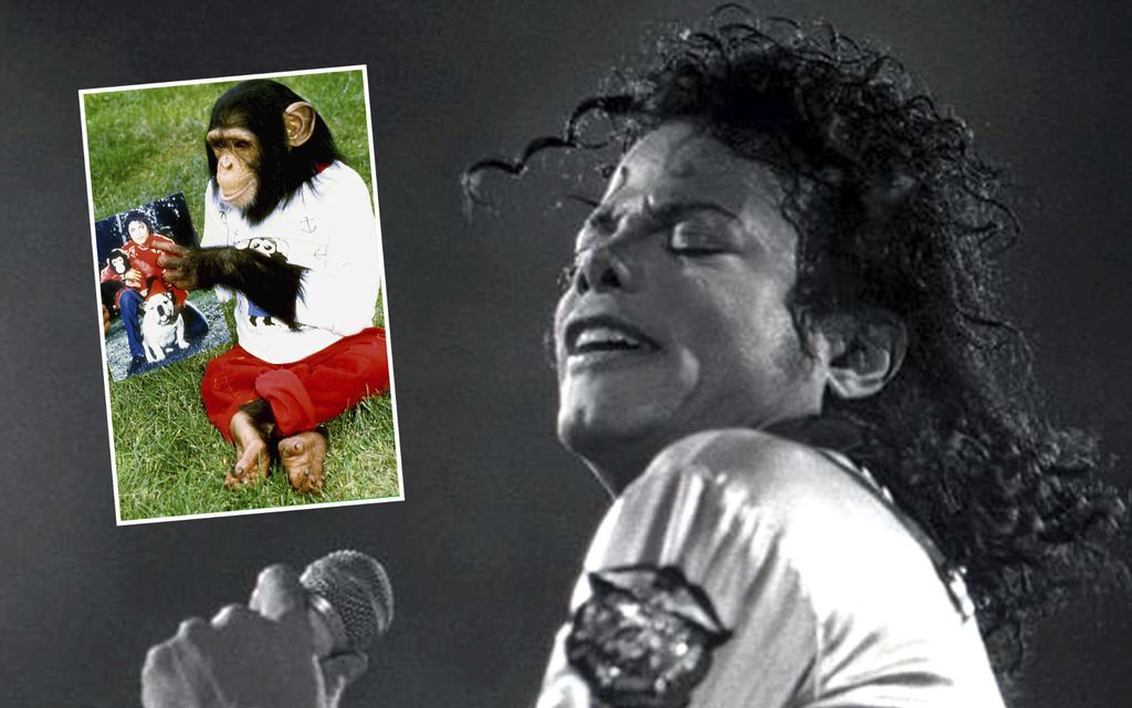 Michael Jacksonin kuolemasta on 15 vuotta – Muistatko vielä Bubbles-simpanssin?