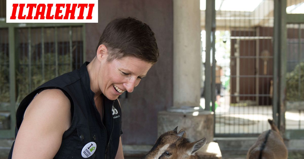 www.iltalehti.fi