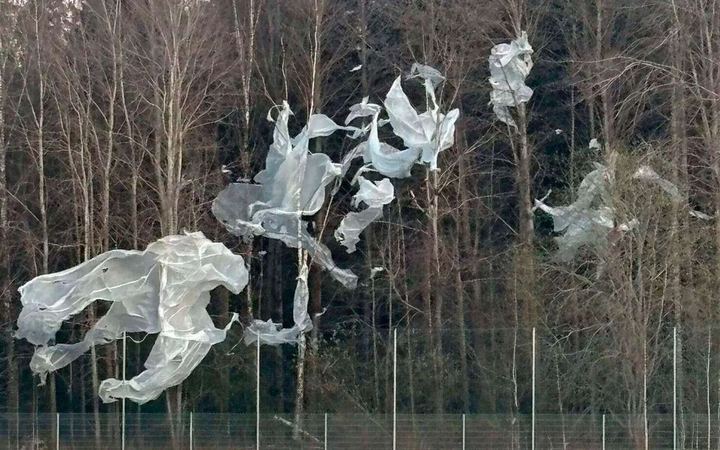 Video: Mystinen valkoinen peite puissa hämmensi Helsingissä