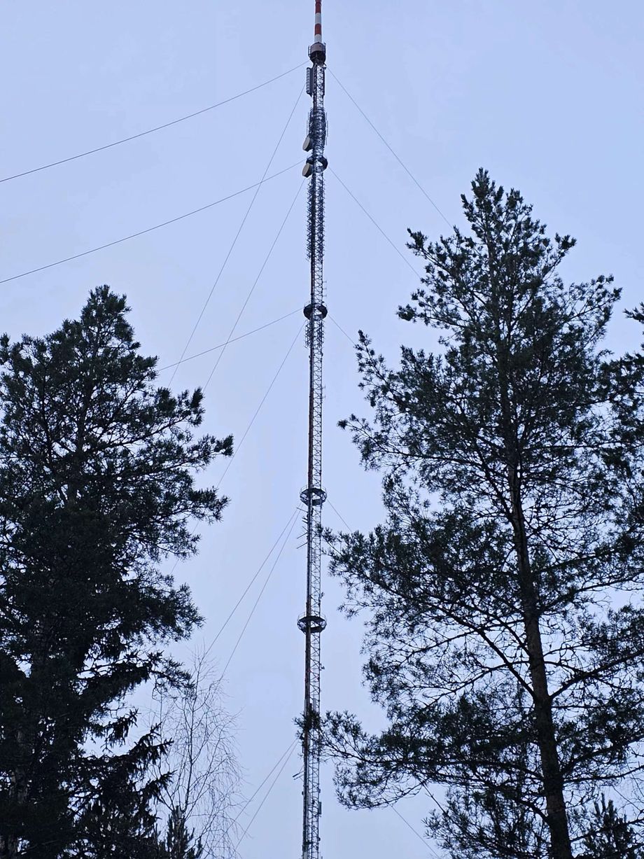 nuori-putosi-teiskon-mastosta-ja-kuoli-poliisilta-murheellinen-arvio