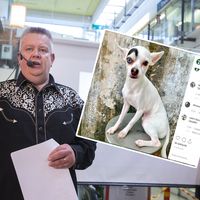 Huutokauppakeisari Aki Palsanmäen ja Heli-vaimon tulot romahtivat